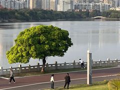 -南宁南湖公园