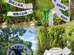 -呀诺达热带雨林