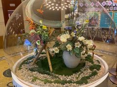 -老淳安—伴山伴湖(千岛湖开元度假村店)