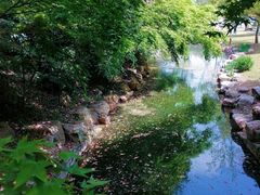 -上海共青森林公园