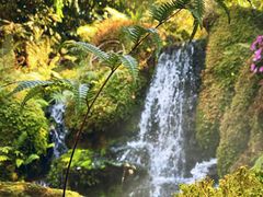 -Chom Cafe and Restaurant