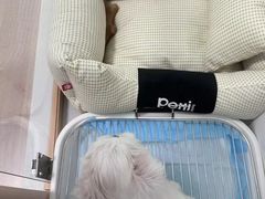 -联合动物医院(光谷诊疗中心)