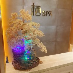 -栖SPA·ONDA ·海菲秀·皑皑科技美肤中心