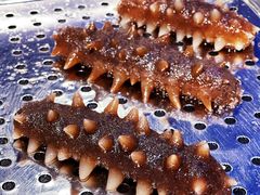 -棒棰岛辽参(长宁旗舰店)