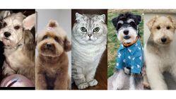 -海王刺青·纹身·穿孔饰品·TATTOO