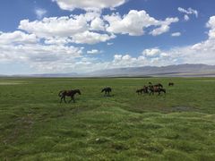 -天山神秘大峡谷
