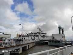 -枸杞岛