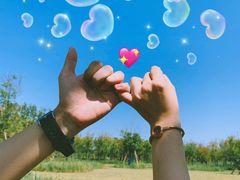 -春花秋色城市公园