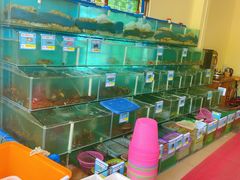 水产区-琼大师东方烤乳猪(亚特兰蒂斯店)