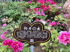 -洛阳市隋唐城遗址植物园
