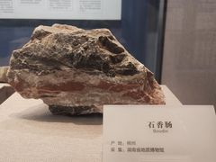 -湖南省地质博物馆