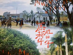 -华侨公园