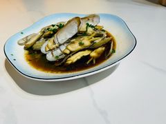 -新楚记