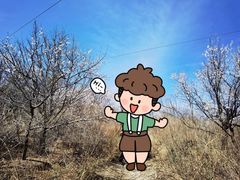 -妙峰山风景名胜区