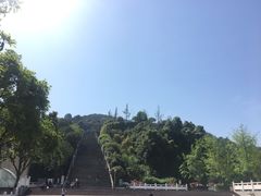 -铁山坪森林公园