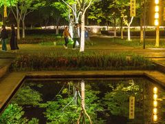-长田漾湿地公园