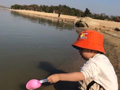 -瑶湖郊野森林公园