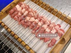 -很久以前羊肉串(打浦路店)