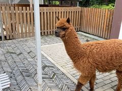 -太阳岛度假酒店