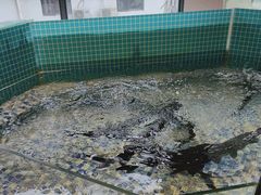 -鱼乐火锅(清江国际店)