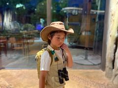 -杭州开元森泊度假乐园