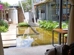 -大理老字号·舟渔的鱼野生菌海景餐厅(双廊店)