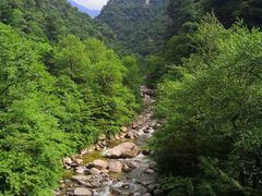 -青峰峡国家森林公园