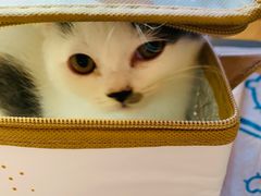 -小半有礼(天河南店)