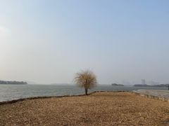 -长广溪湿地公园