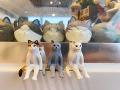 -Catmate·猫肥家润(金润铂宫店)