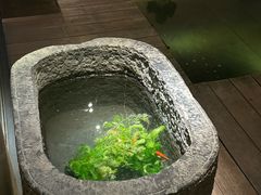 -觀芷隐轩