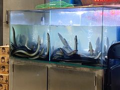 -本炙炭烤·蒲烧活鳗料理店(金沙洲店)
