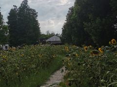 -同里国家湿地公园