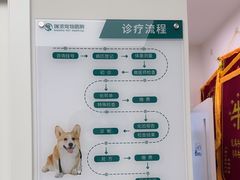 -瑞派康怡24h宠物医院·犬猫医疗中心·微创绝育(瑞景分院)
