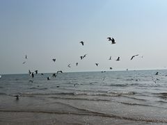 -唐山游泳馆(运动场馆)