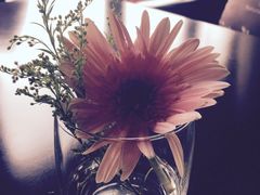 -惠州惠阳丽景国际花园酒店(市政广场店)