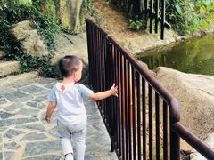 -白马涧龙池景区