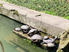 -宁波市保国寺古建筑博物馆