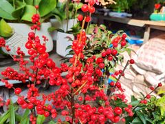 -玉泉综合市场(天山北路店)