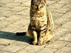 -南京金牛湖风景区