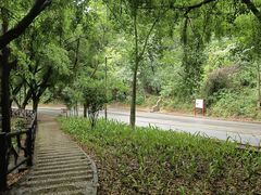 -大雁山风景区