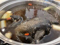 -太婆天府山珍酒楼(亚运村店)