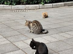-晓港公园