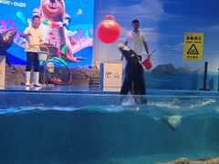 -牛街清顺斋小吃(牛街东里小区一区店)