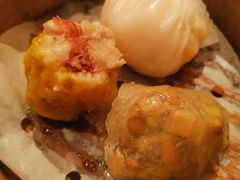 -新同乐鱼翅酒家(美丽华店)