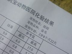 -悦宠凯宝动物医院·牙科·皮肤科(朝阳北路店)
