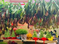 -越秀西湖花市(广州城市广场花卉店)