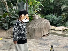 -郑州植物园