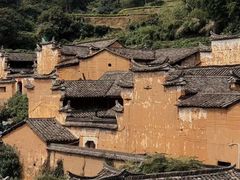 -杨家堂村