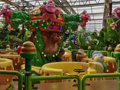 -南宫五洲植物乐园